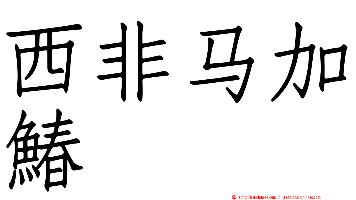 西非马加䲠