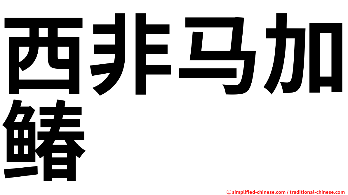西非马加䲠