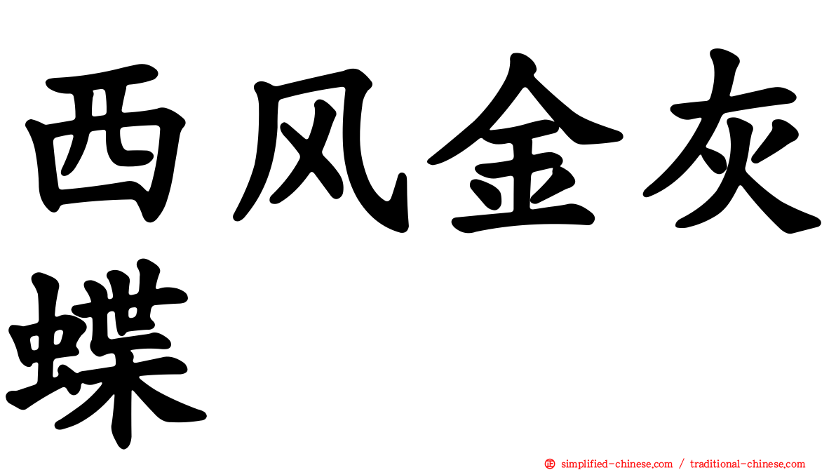 西风金灰蝶