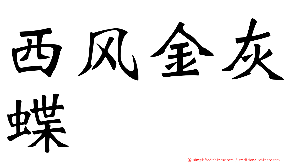 西风金灰蝶