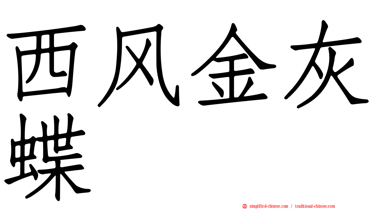 西风金灰蝶