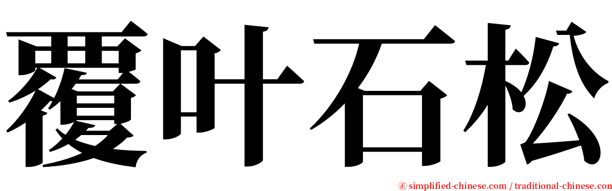 覆叶石松 serif font
