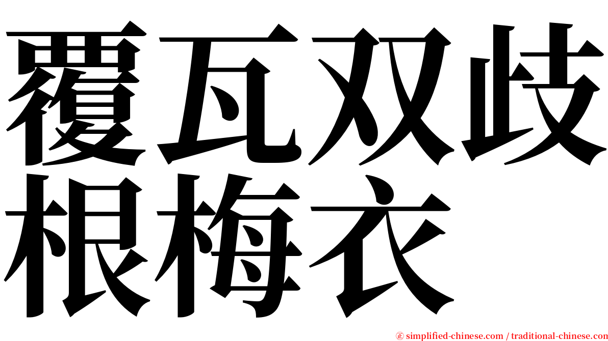 覆瓦双歧根梅衣 serif font