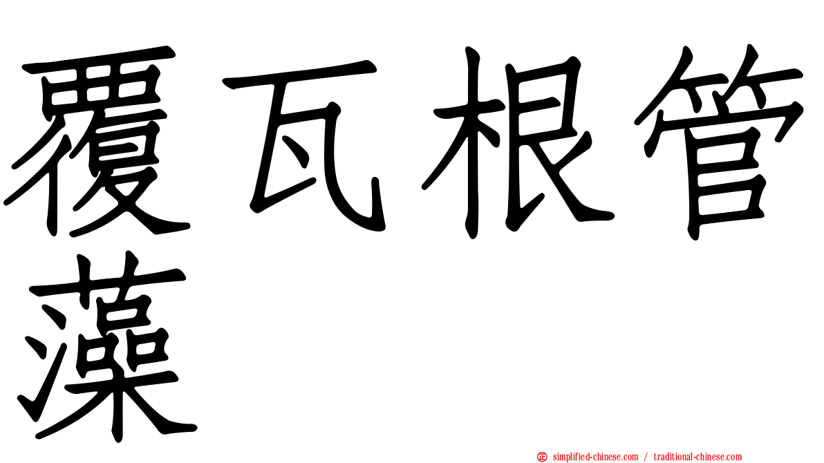 覆瓦根管藻