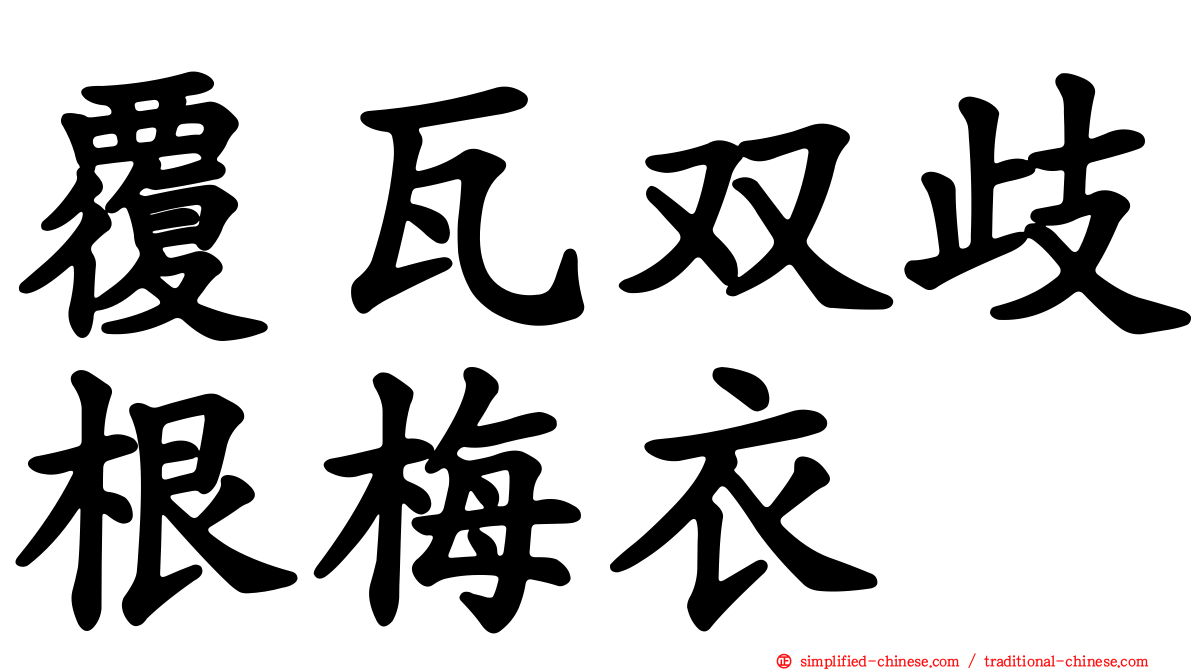 覆瓦双歧根梅衣