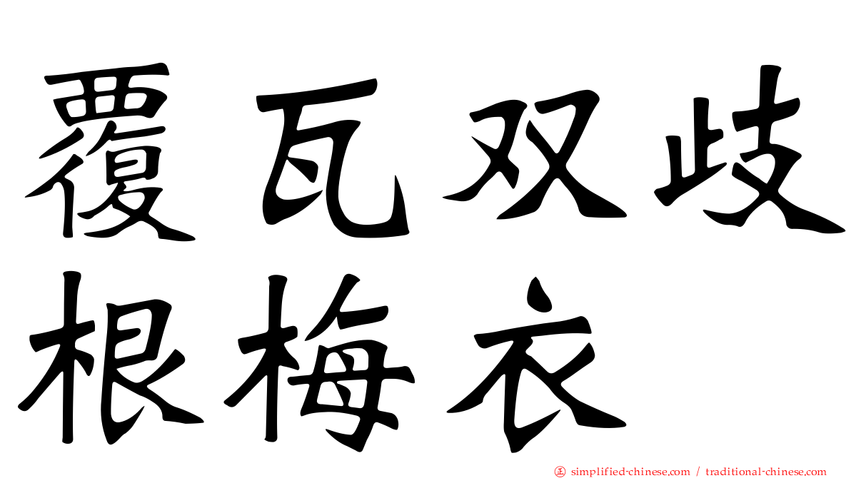 覆瓦双歧根梅衣