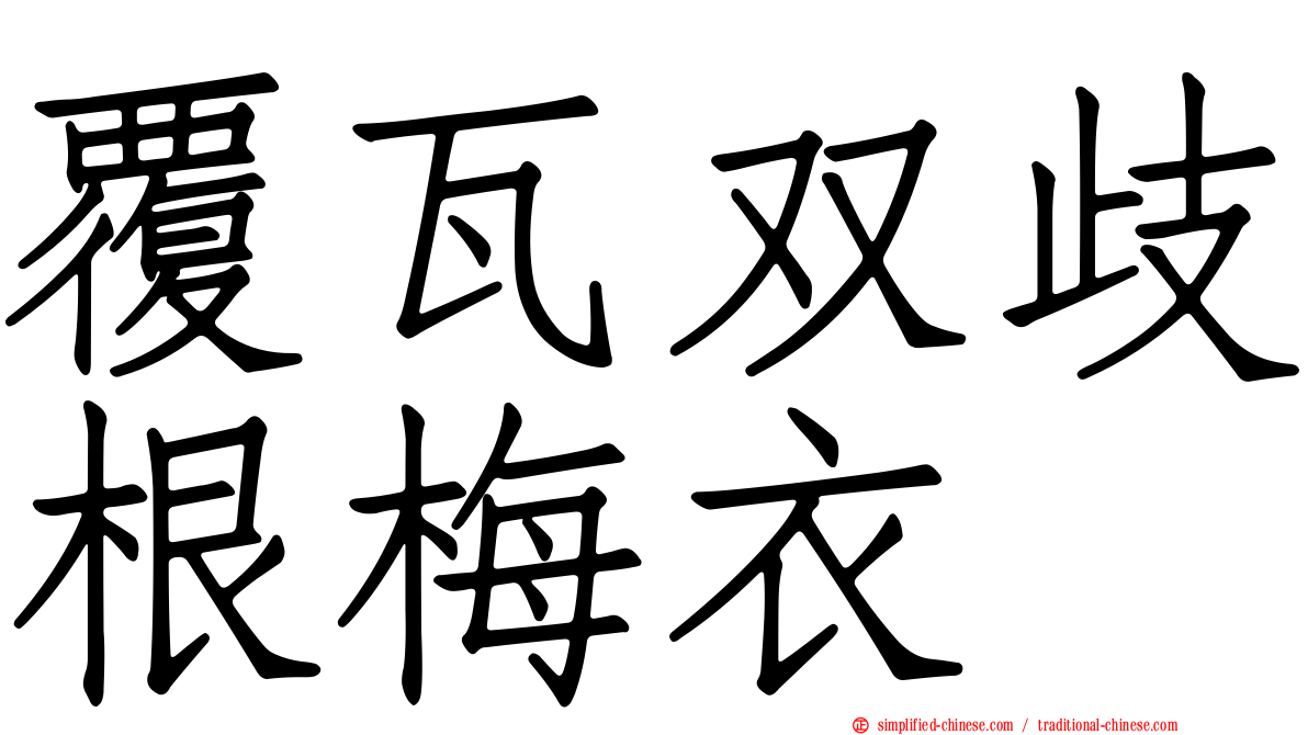 覆瓦双歧根梅衣