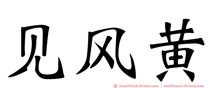 见风黄