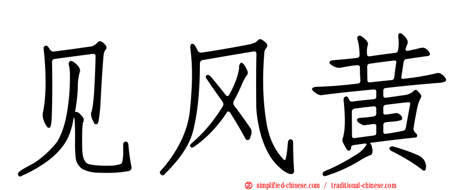 见风黄