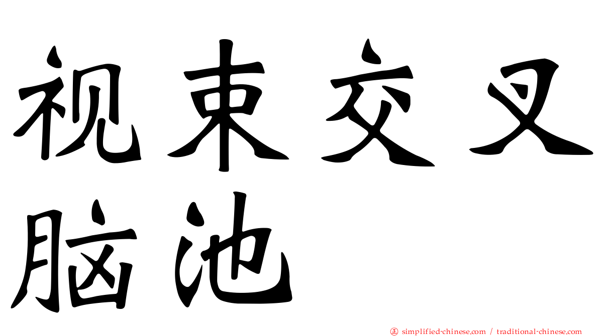视束交叉脑池