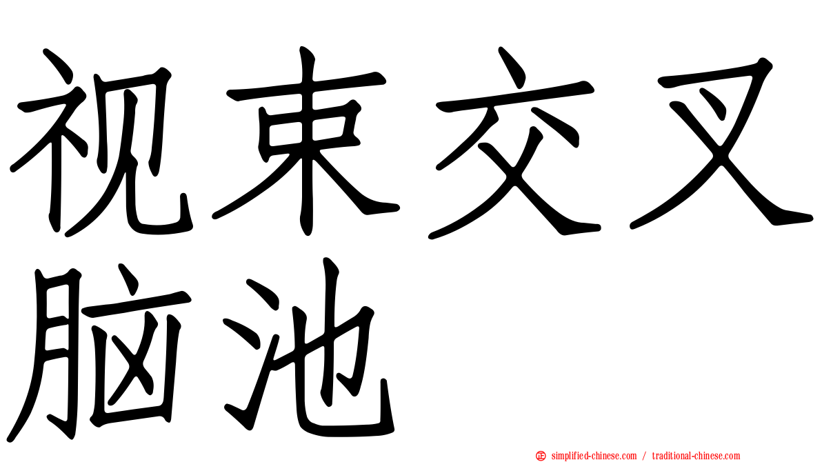 视束交叉脑池