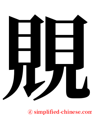 覞 serif font