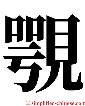覨 serif font