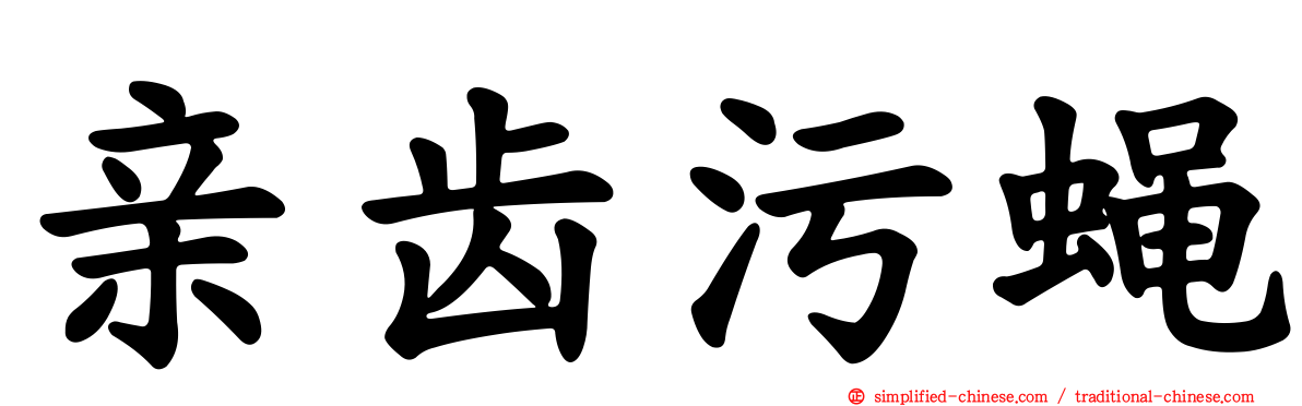亲齿污蝇