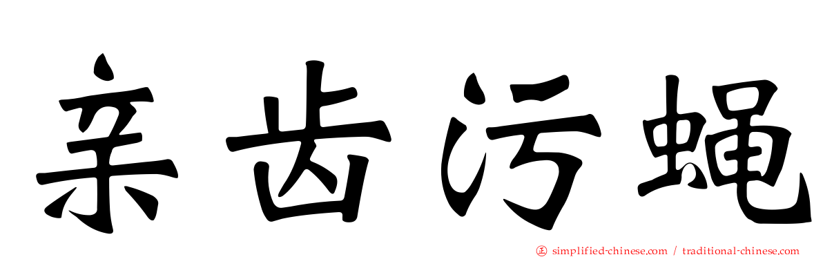 亲齿污蝇