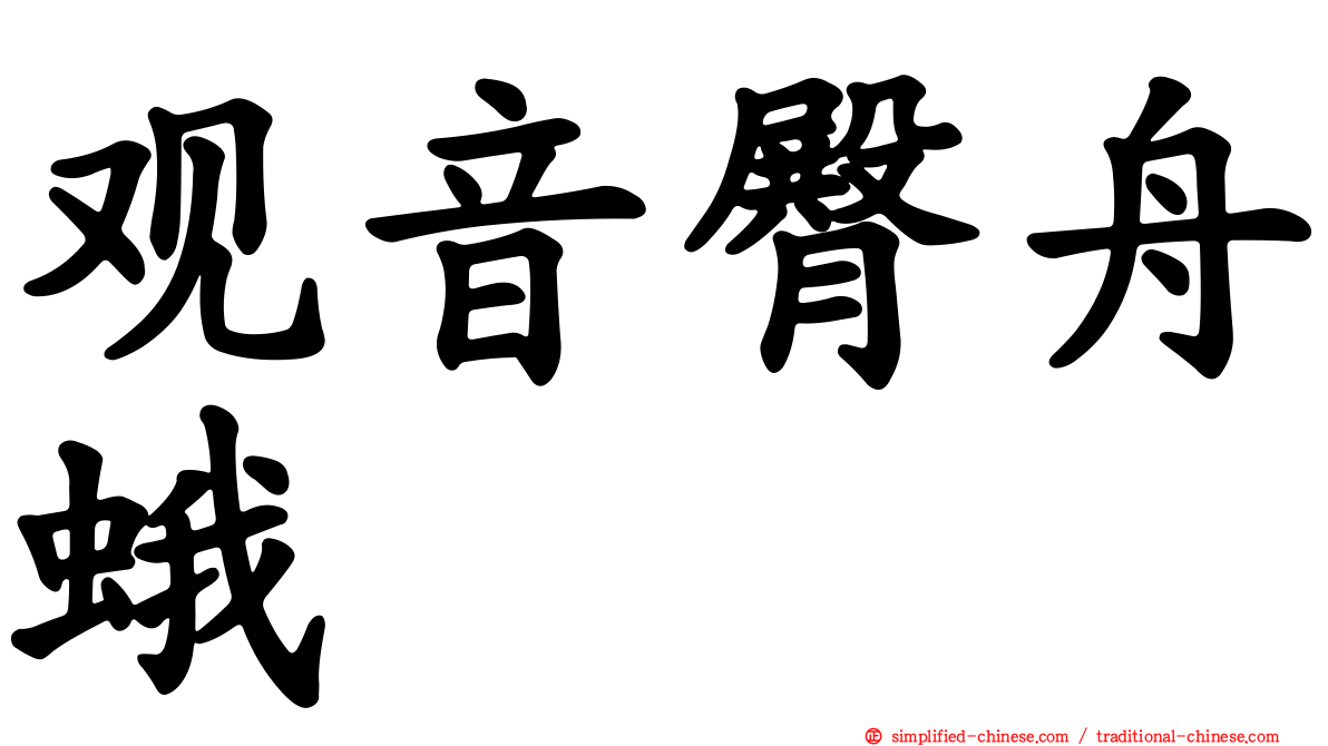 观音臀舟蛾