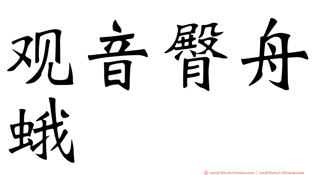 观音臀舟蛾