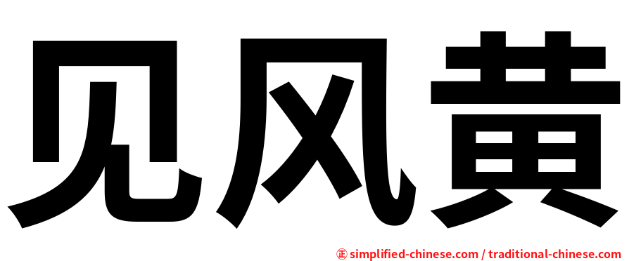 见风黄