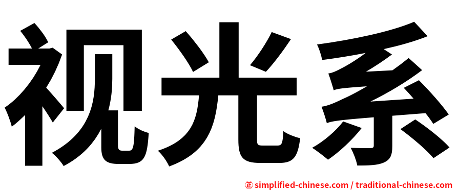 视光系
