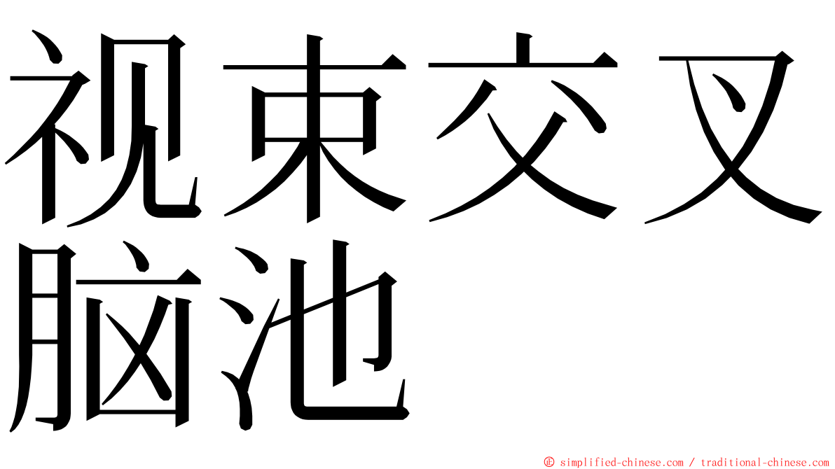 视束交叉脑池 ming font