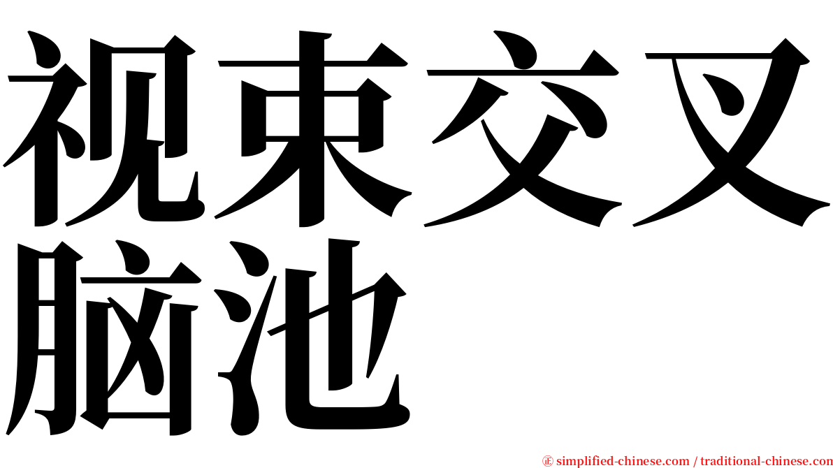视束交叉脑池 serif font