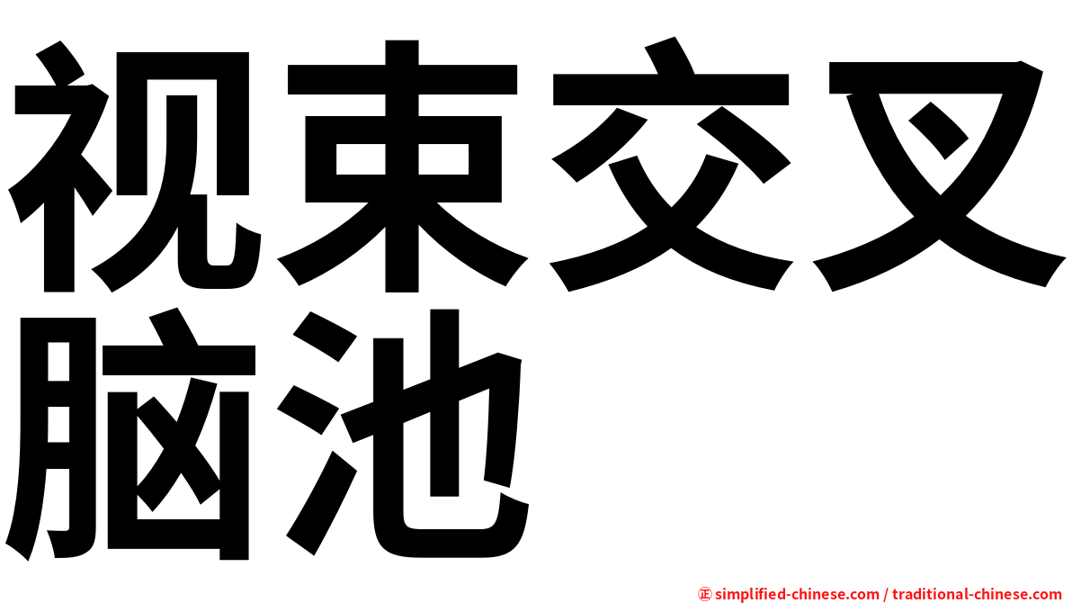 视束交叉脑池