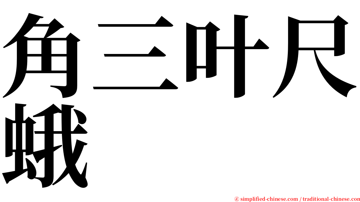 角三叶尺蛾 serif font