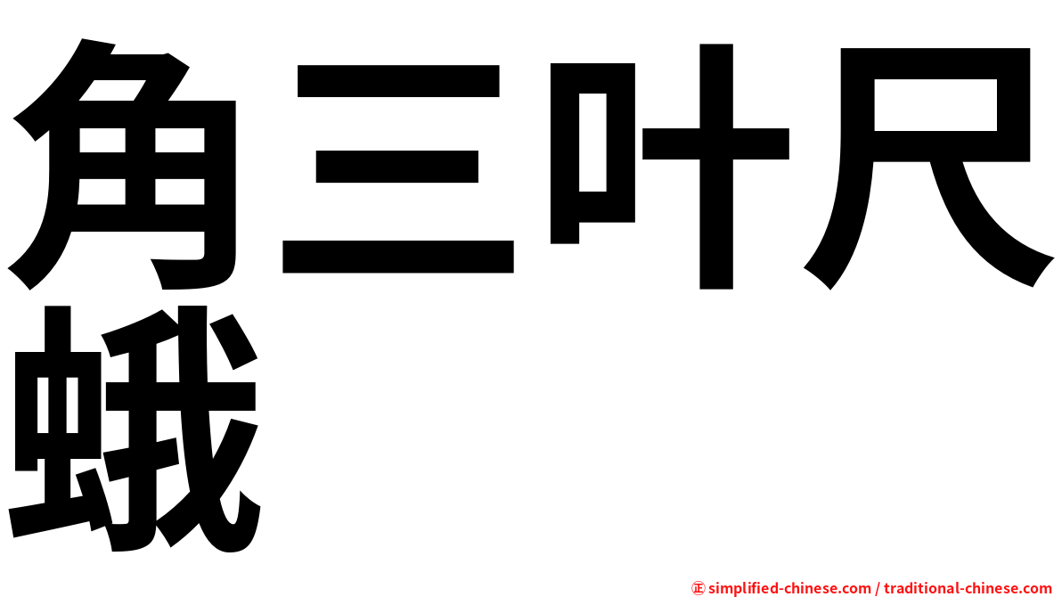 角三叶尺蛾