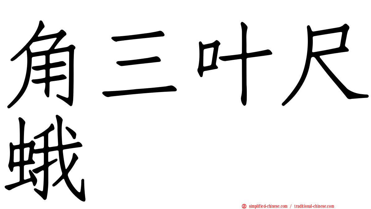 角三叶尺蛾