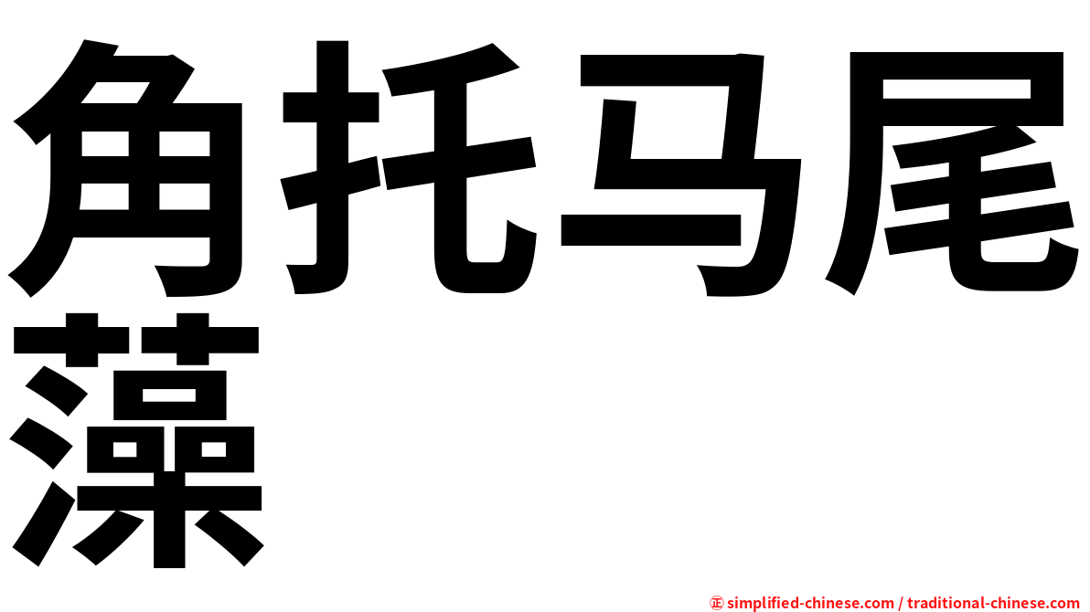 角托马尾藻