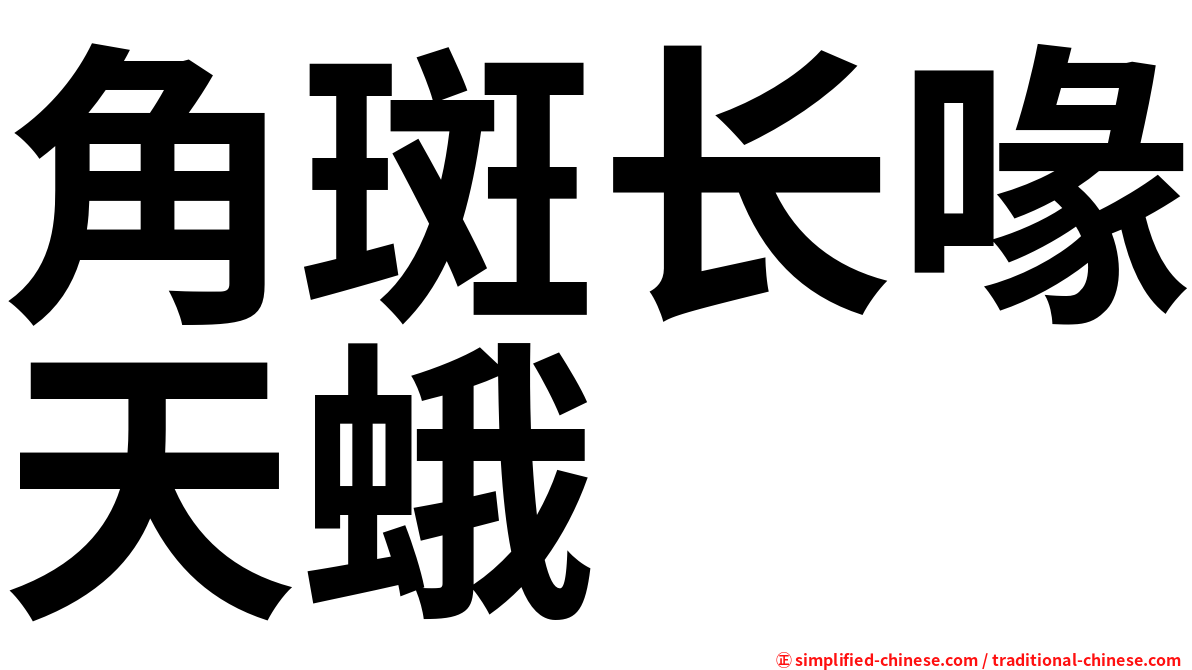 角斑长喙天蛾