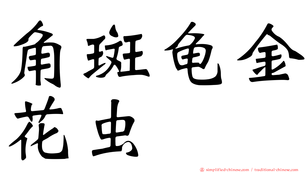 角斑龟金花虫