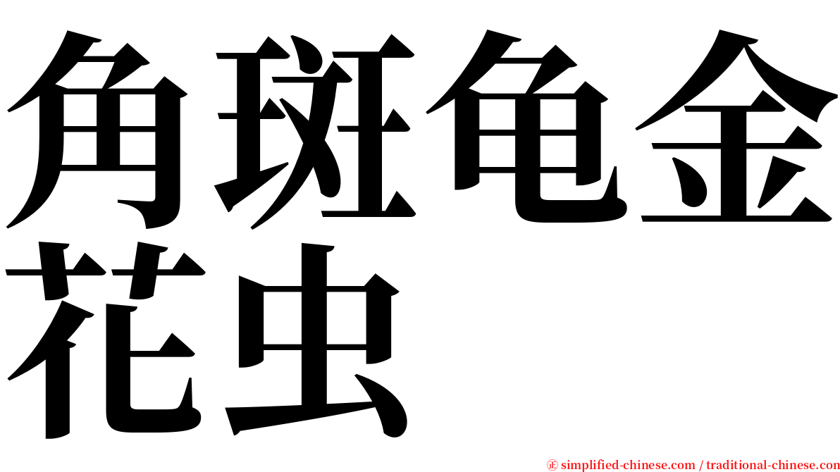 角斑龟金花虫 serif font