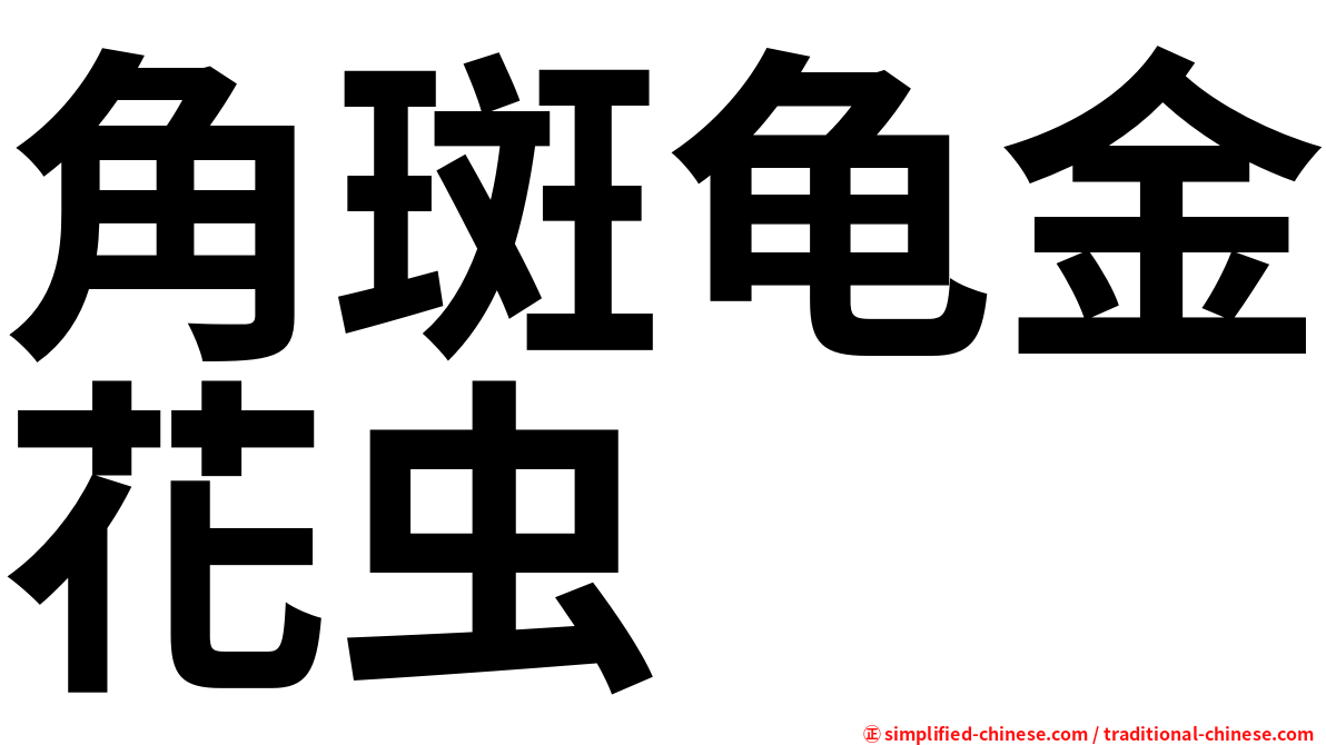 角斑龟金花虫