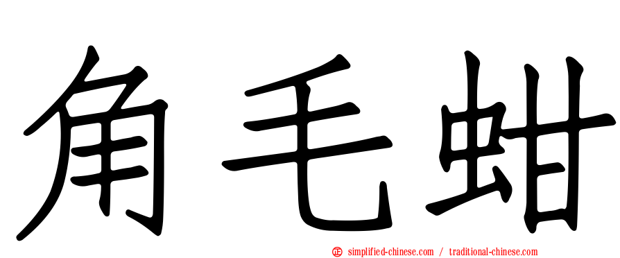 角毛蚶