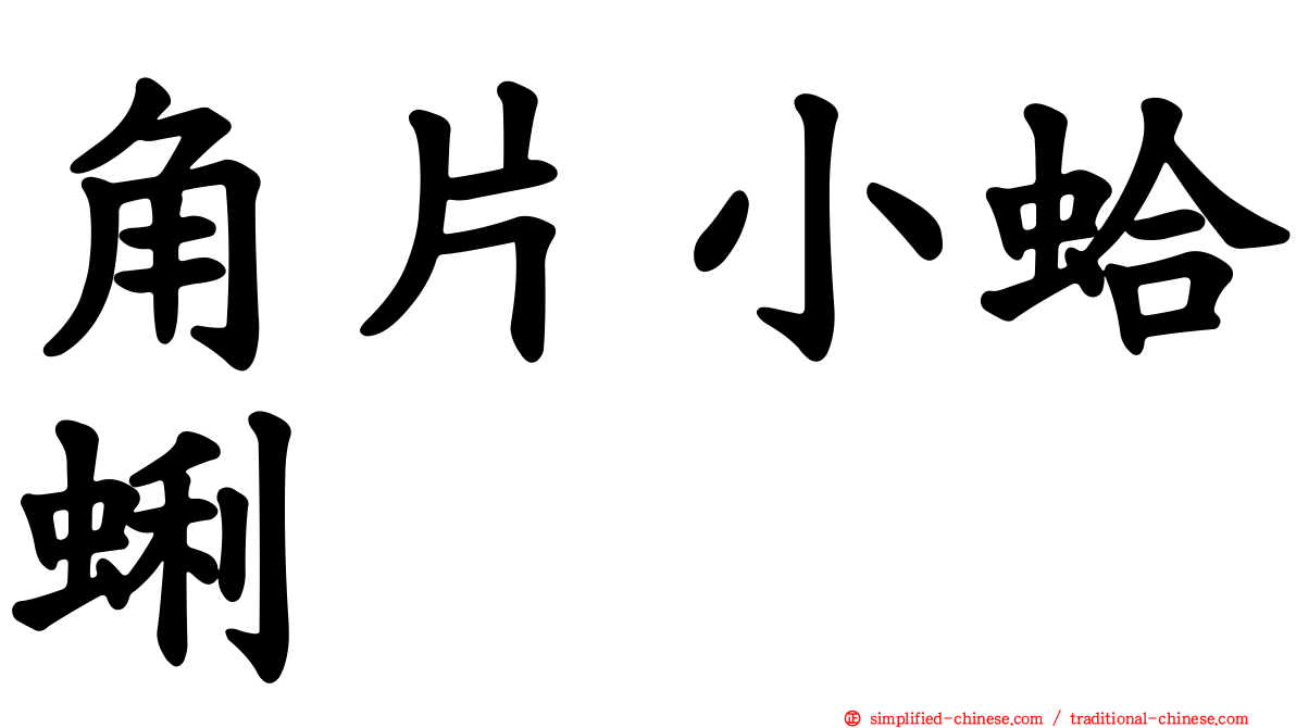 角片小蛤蜊
