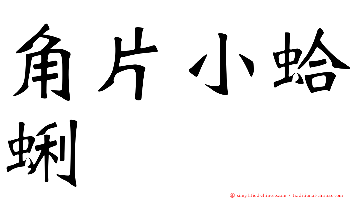角片小蛤蜊