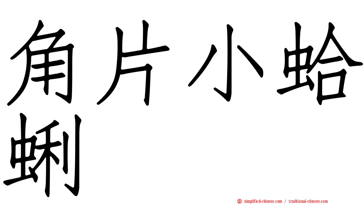 角片小蛤蜊