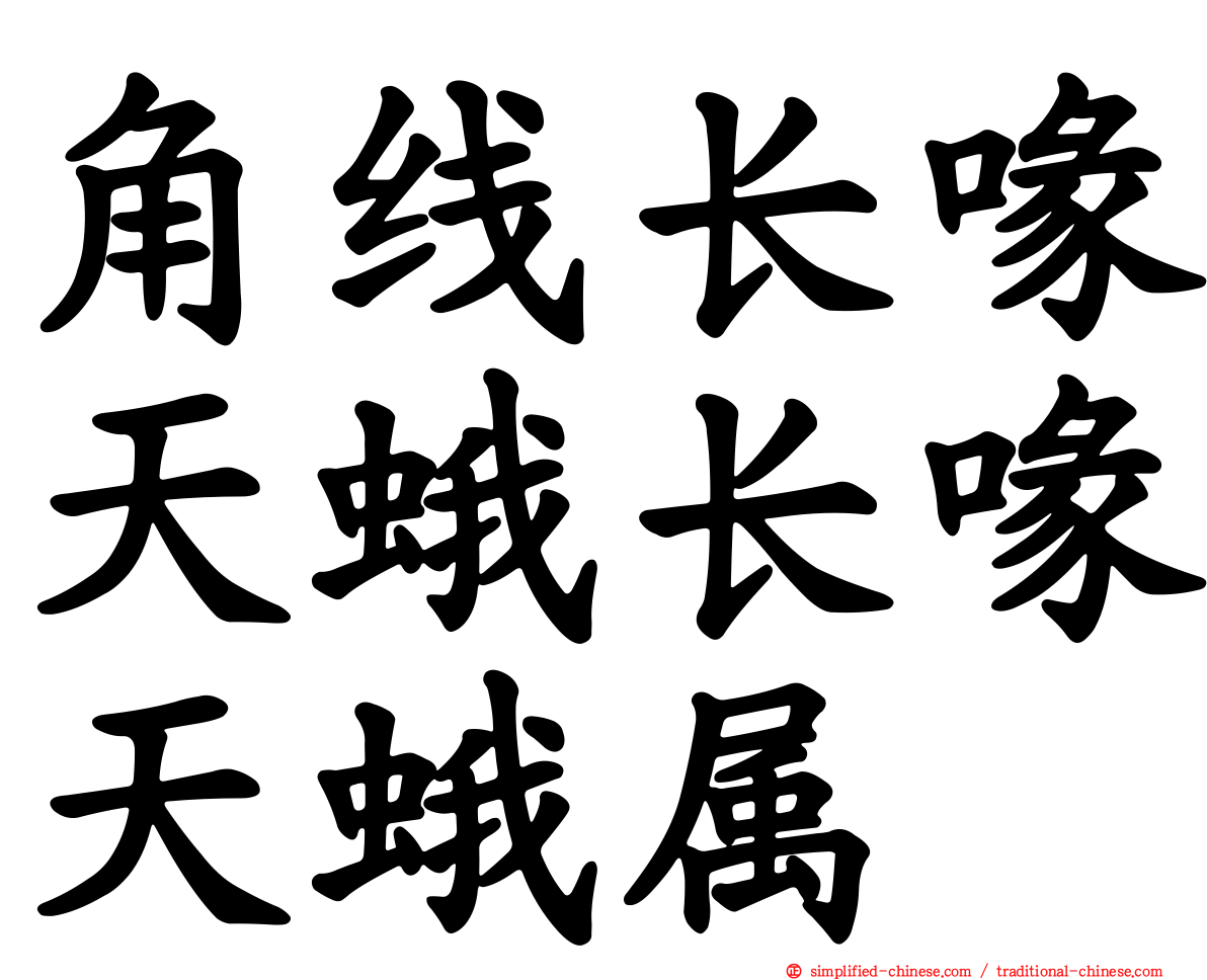 角线长喙天蛾长喙天蛾属