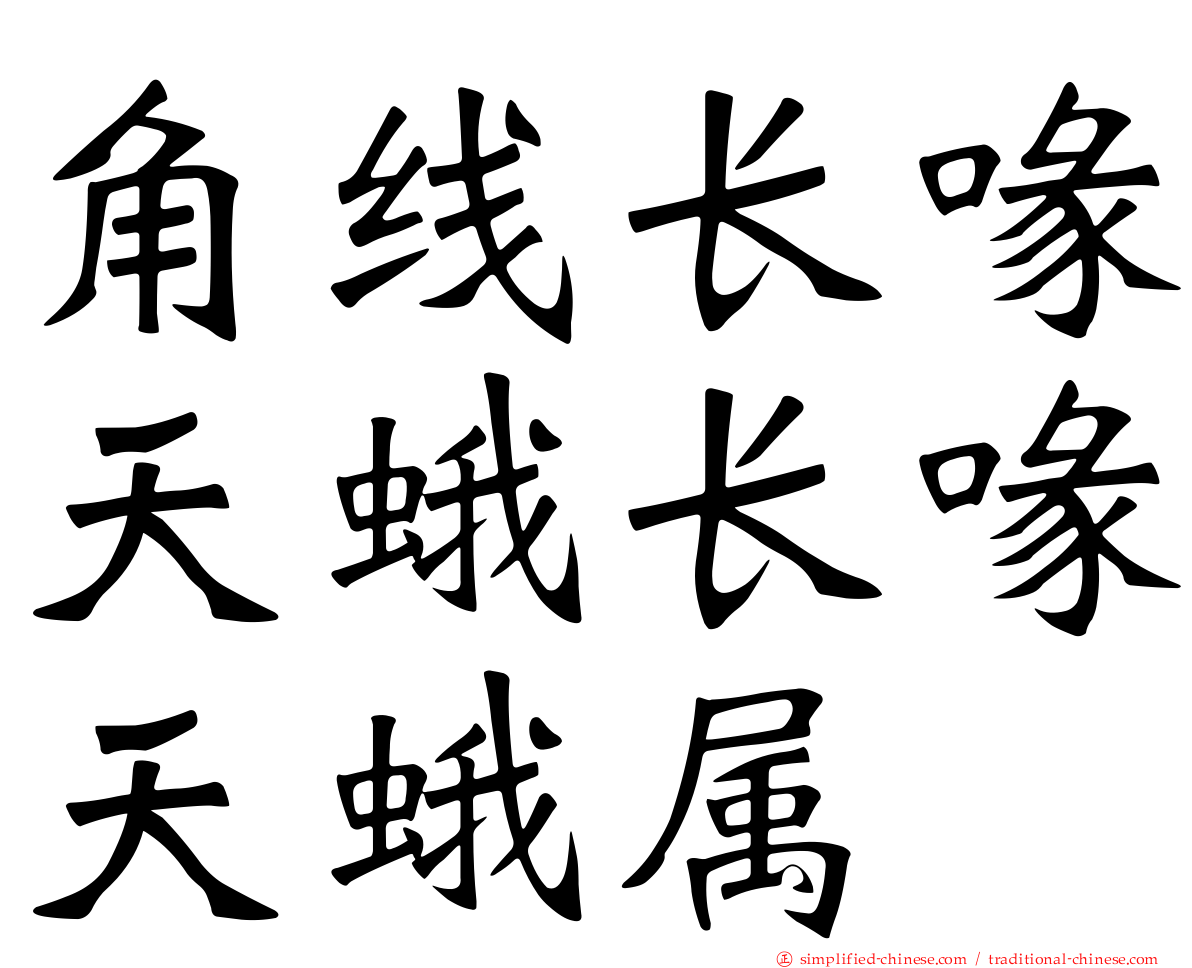 角线长喙天蛾长喙天蛾属