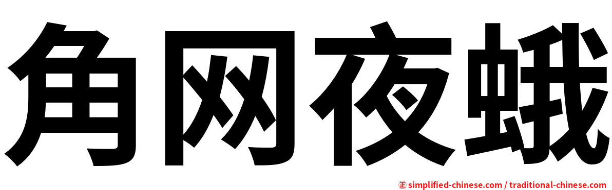 角网夜蛾