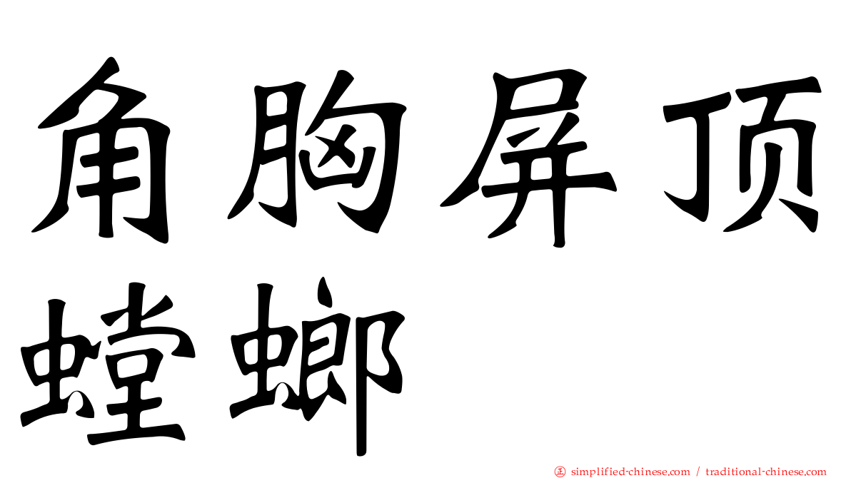 角胸屏顶螳螂