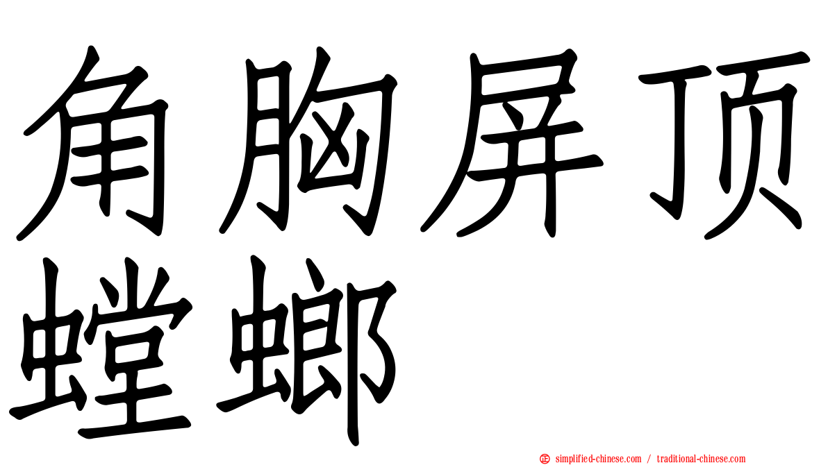 角胸屏顶螳螂