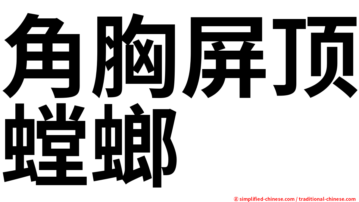 角胸屏顶螳螂