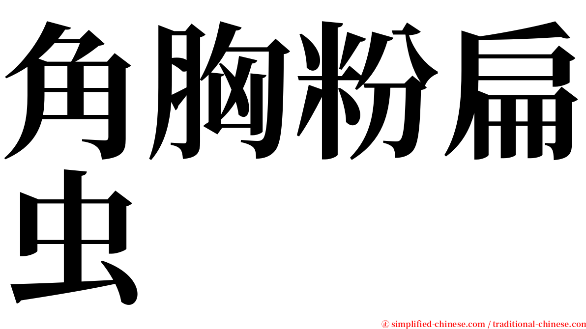 角胸粉扁虫 serif font