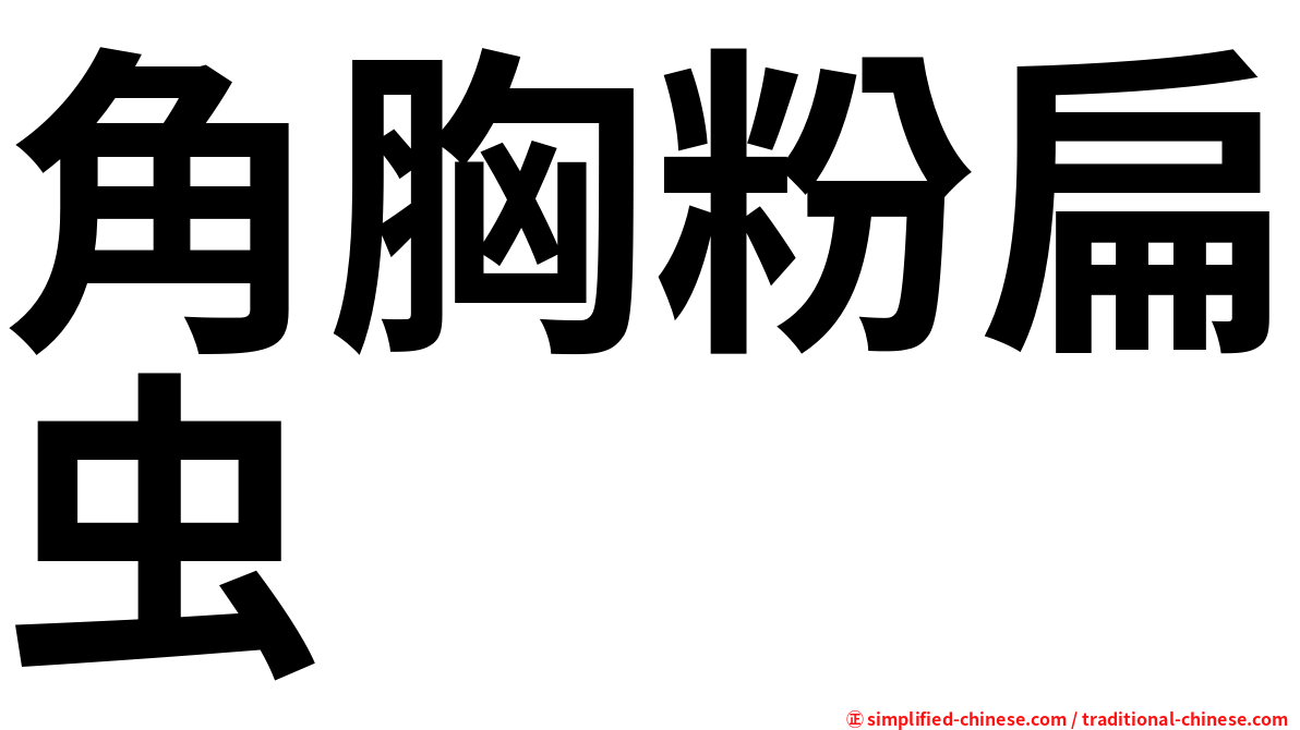 角胸粉扁虫