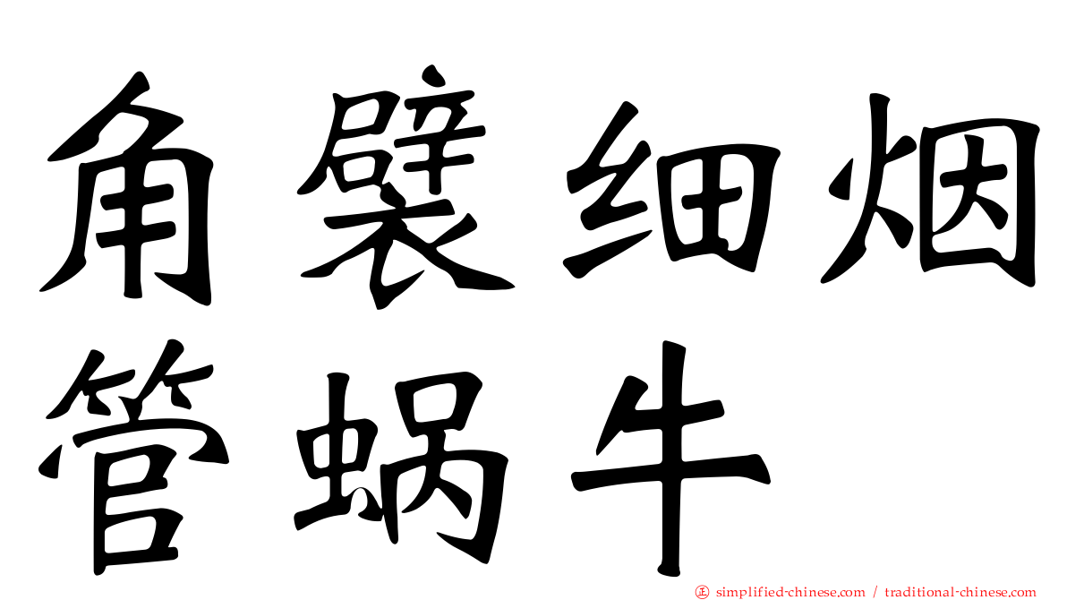 角襞细烟管蜗牛