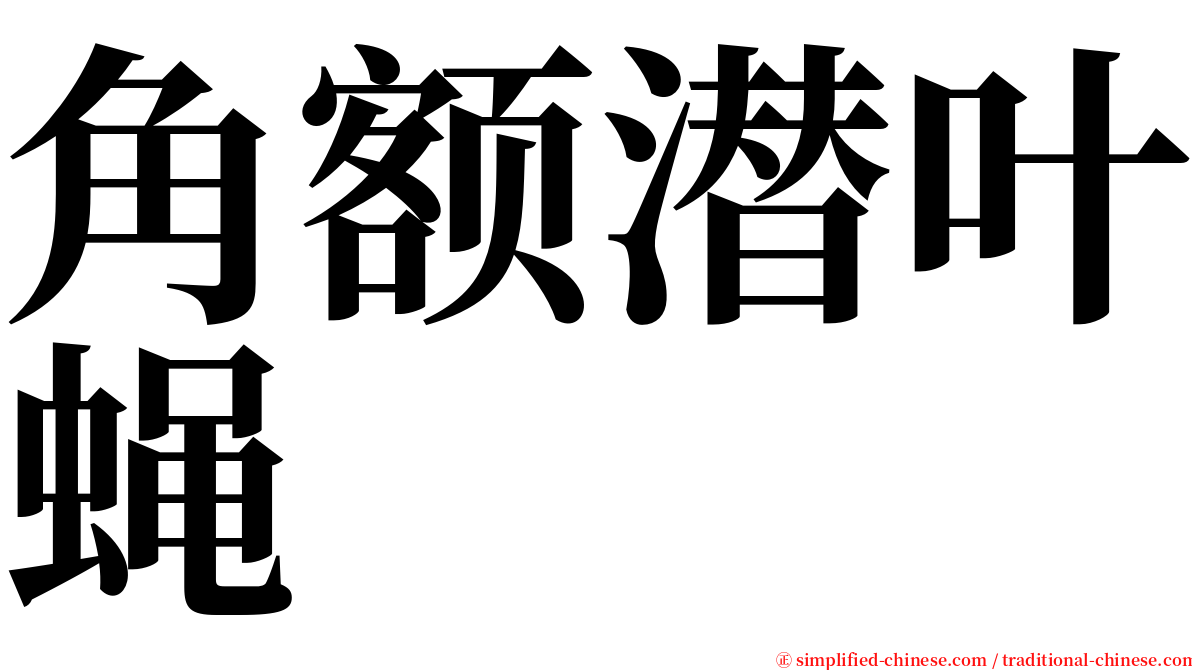 角额潜叶蝇 serif font