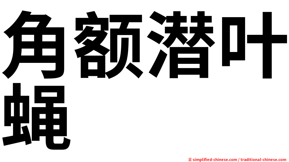 角额潜叶蝇