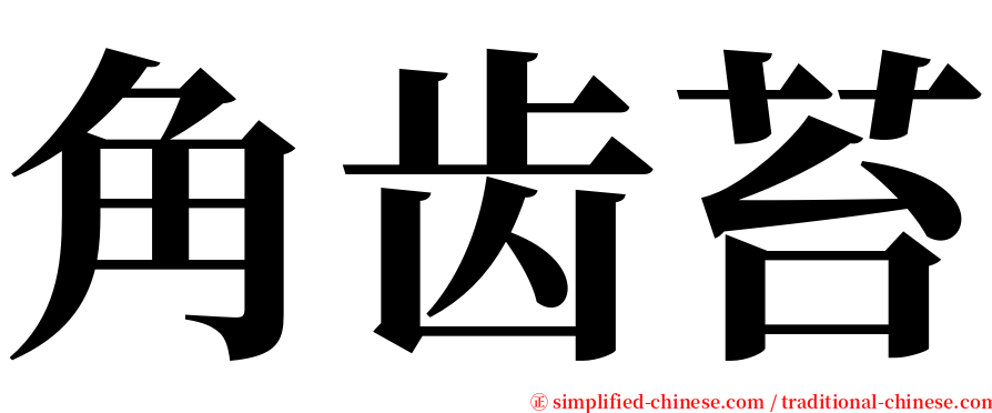 角齿苔 serif font